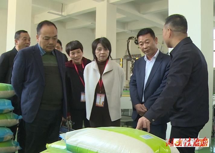 衡南县政协组织住衡南省、市、县政协委员开展集中视察