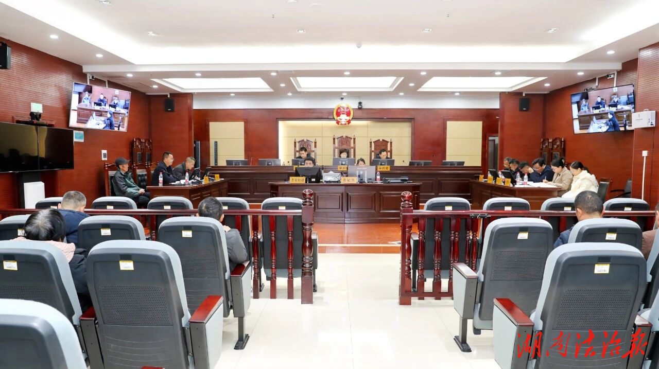 区长出庭应诉！张家界中院公开开庭审理林木林地权属确权及行政复议一案