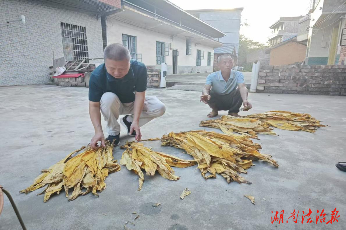 党建引领振兴路 烟草丹心映乡村——郴州市烟草专卖局5队驻安仁县水口村乡村振兴纪实