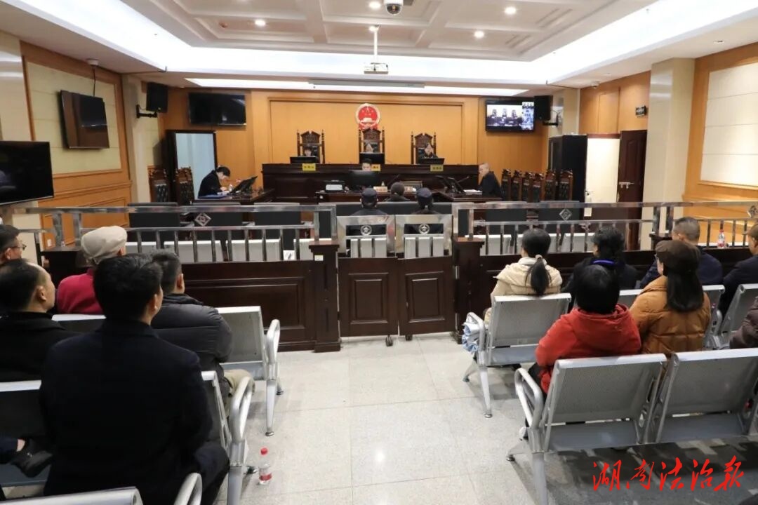 直击庭审现场！常宁乡科级干部学员走进法院“沉浸式”学法