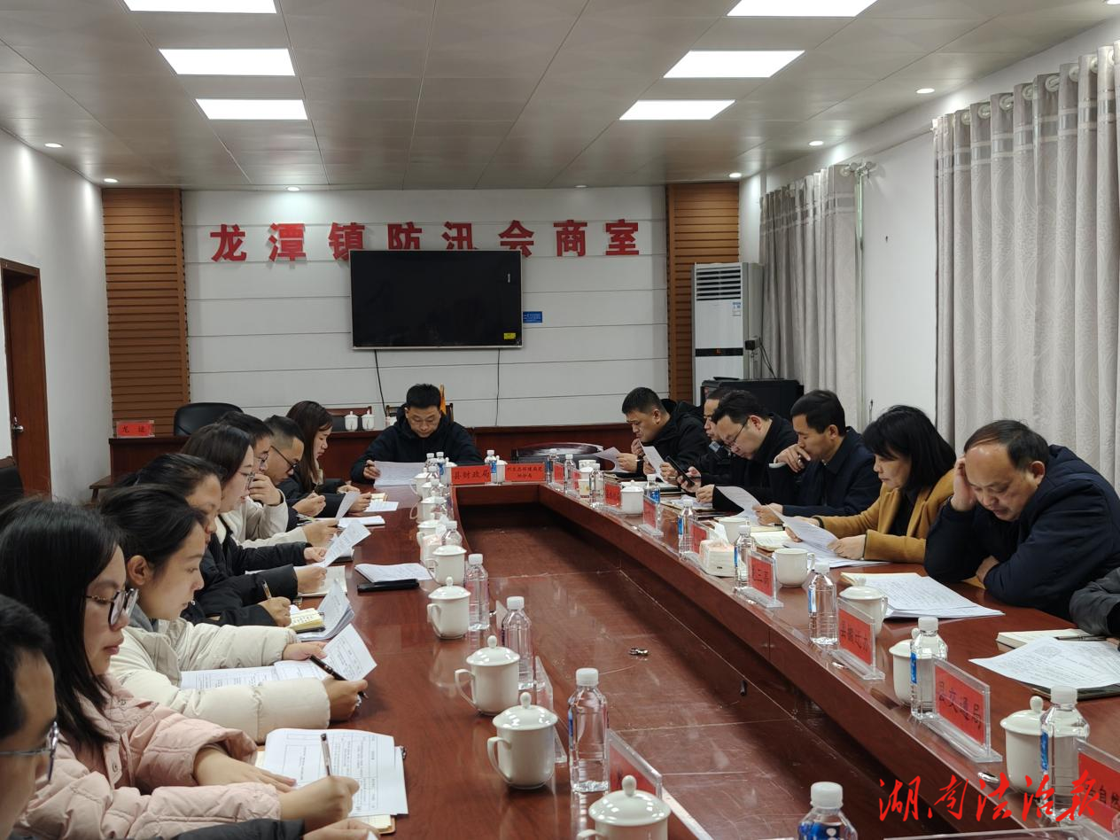 花垣县人大赴龙潭镇调研督办工作