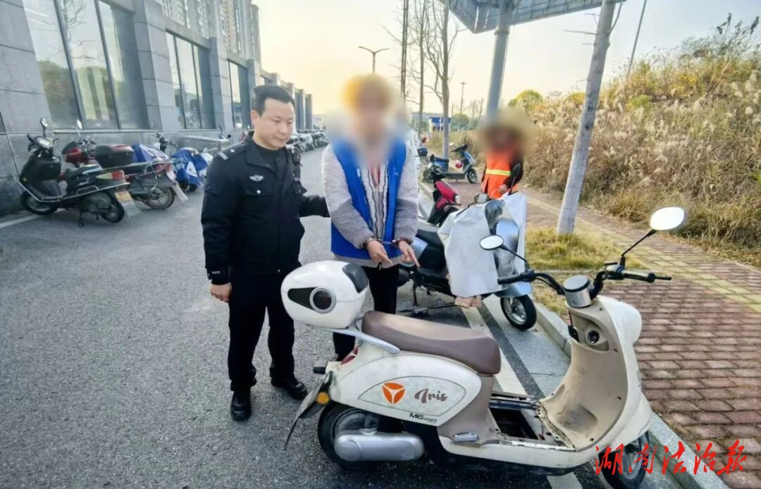 专偷高铁站电瓶 六人盗窃团伙被隆回警方“一锅端”