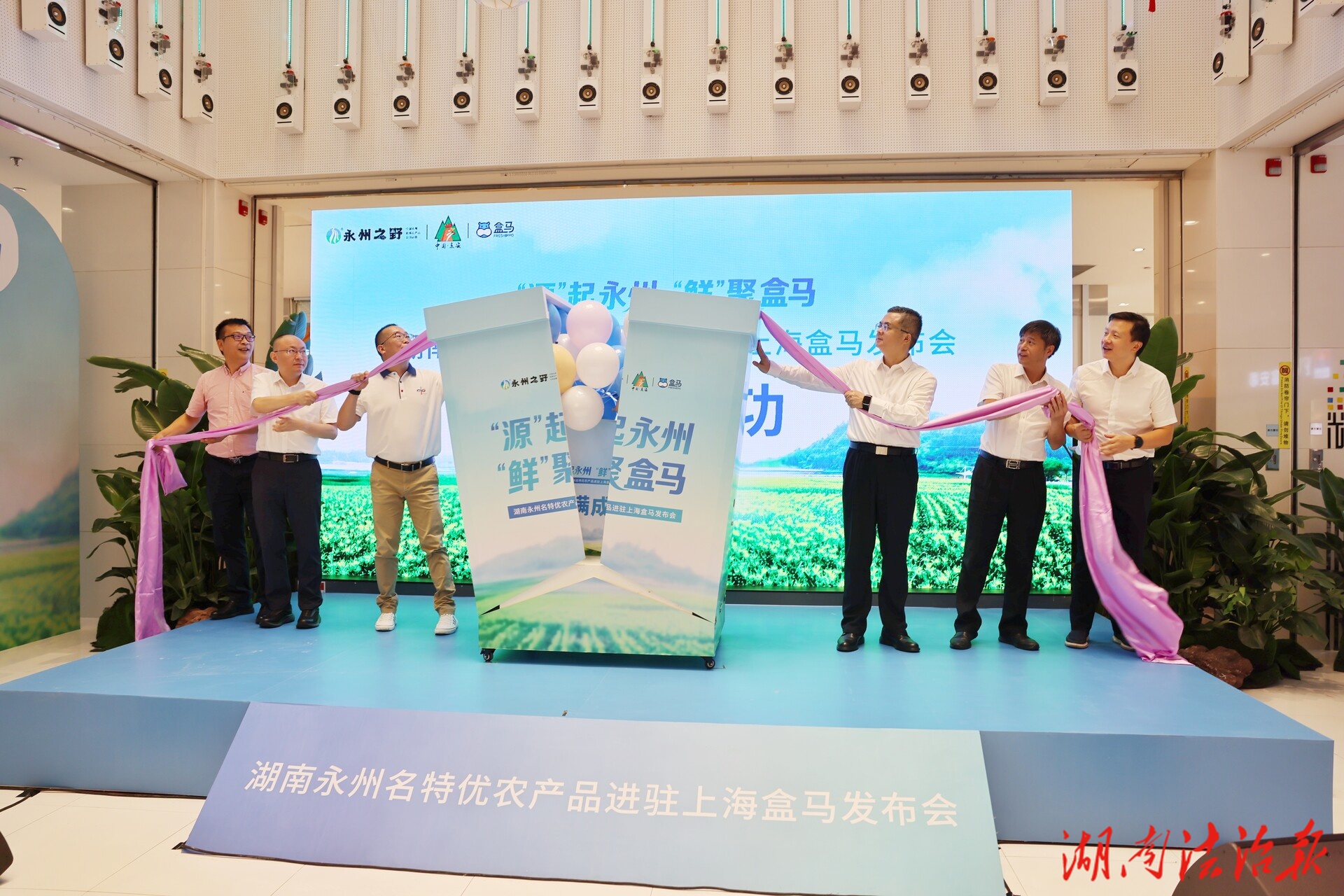 東安名特優(yōu)農(nóng)產(chǎn)品登陸上海盒馬市場(chǎng)