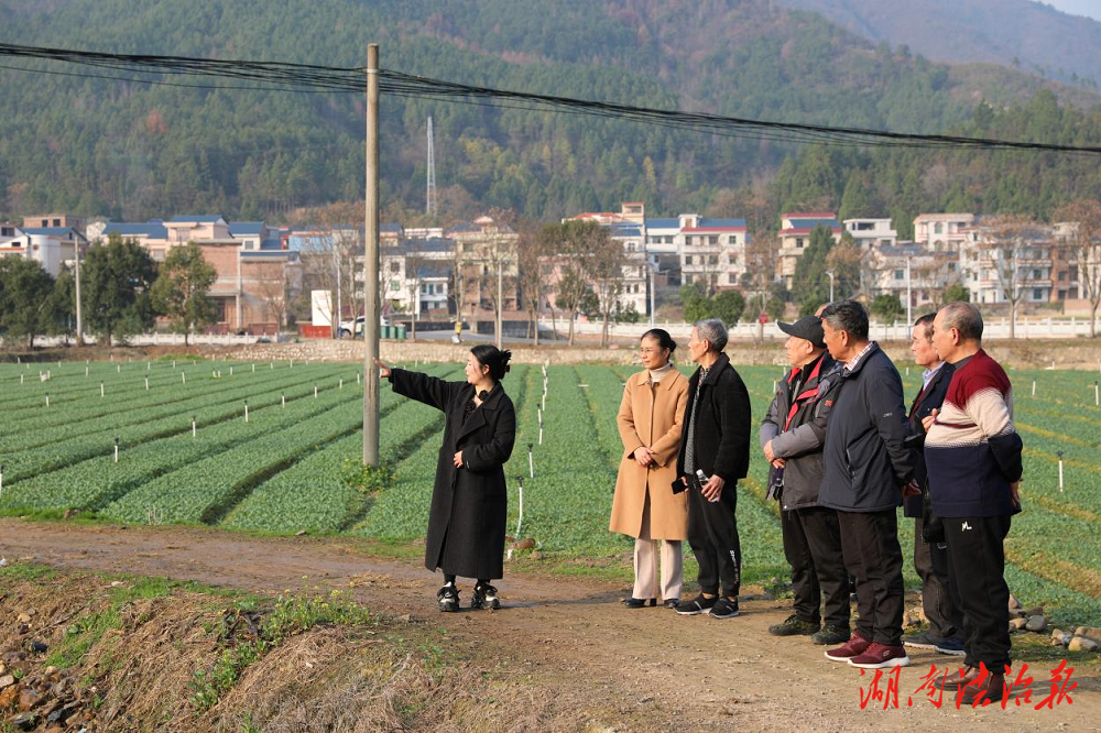 新田法院开展“情暖桑榆忆初心”主题党日活动