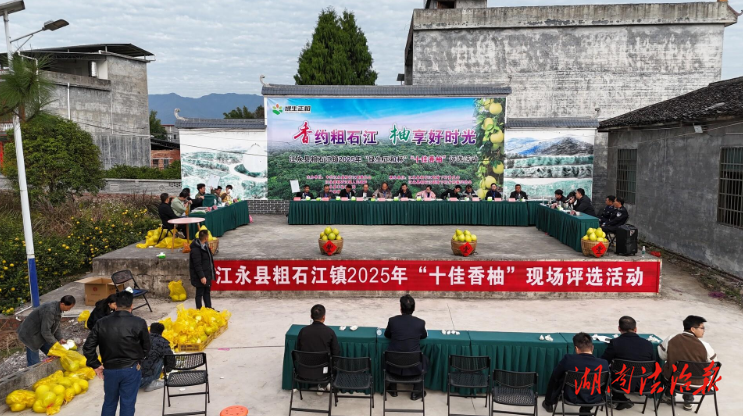 江永县粗石江镇举行“十佳香柚”评选活动
