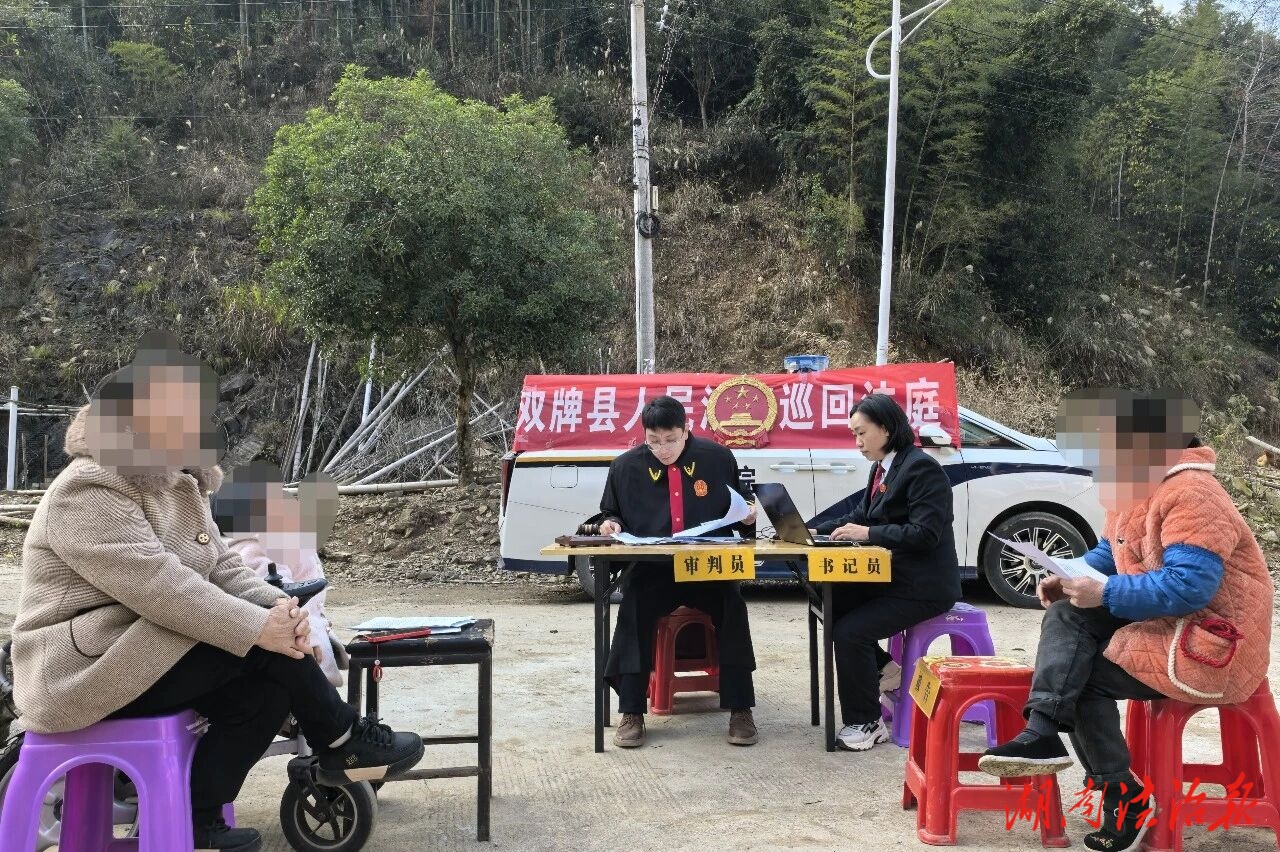 巡回审判进乡村丨村头空地法锤响 上门解纷暖民心