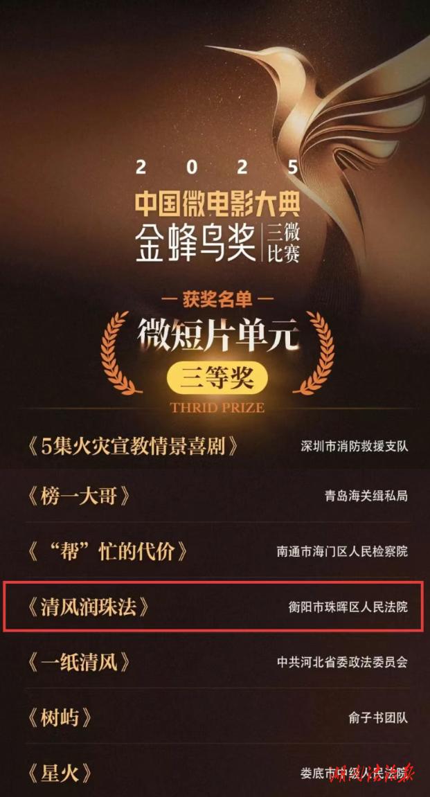 豐收！衡陽法院7部作品榮獲中國微電影大典“金蜂鳥獎”