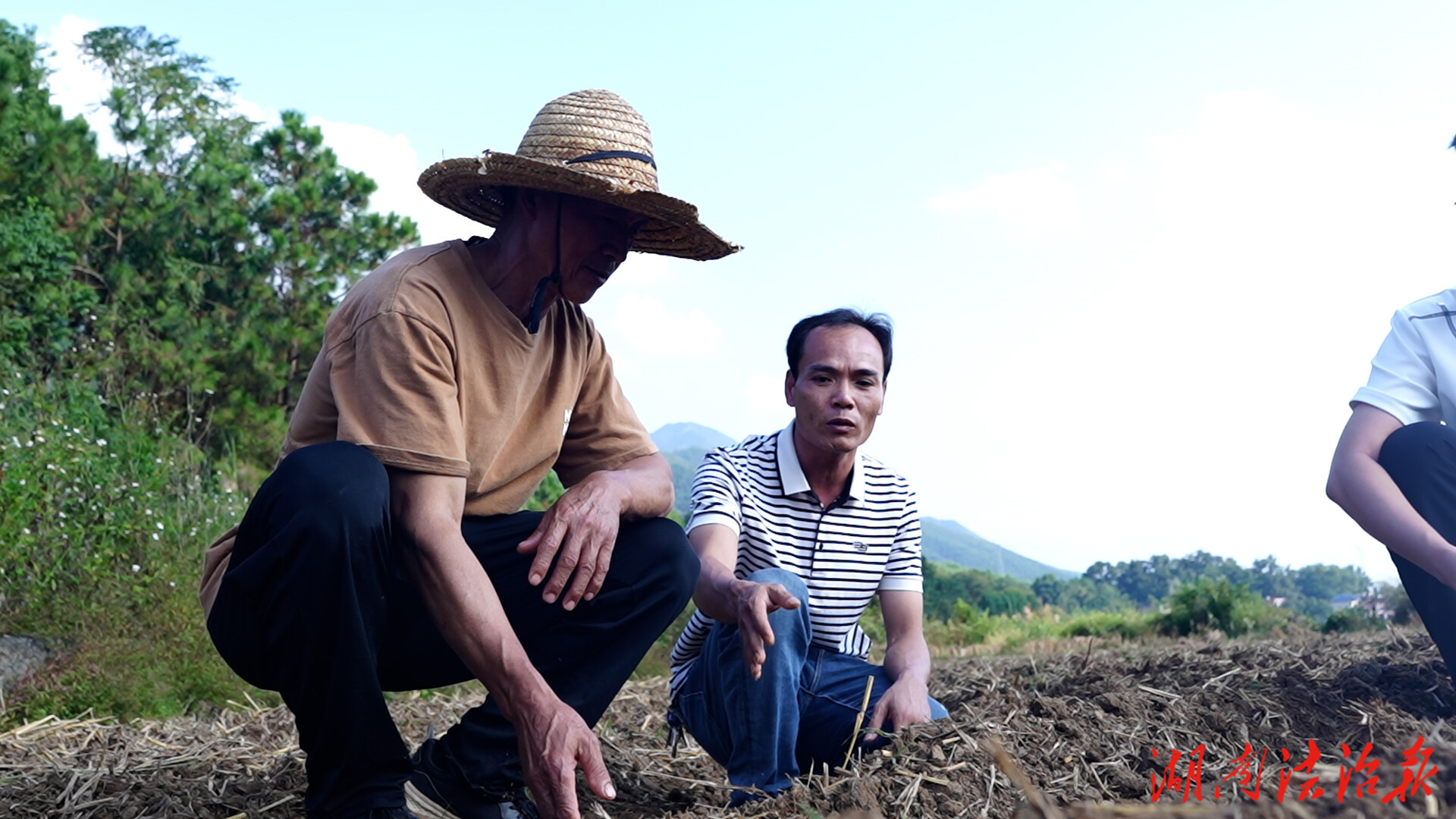 江永：以“早”破局 按下秋冬種“快進鍵”