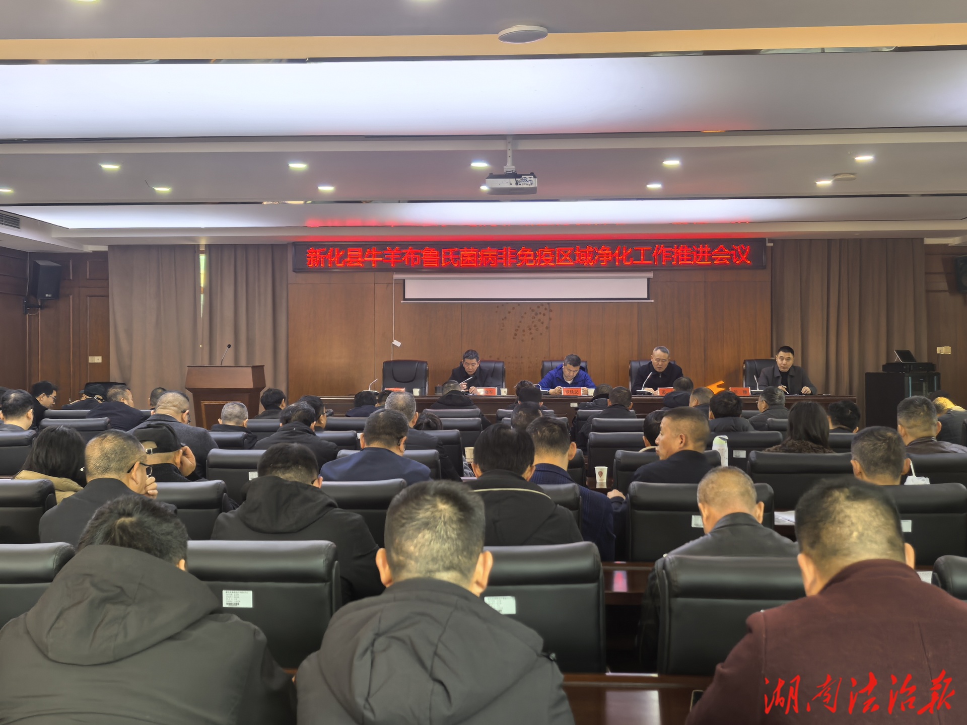 新化縣召開牛羊布魯氏菌病非免疫區(qū)域凈化工作推進(jìn)會(huì)