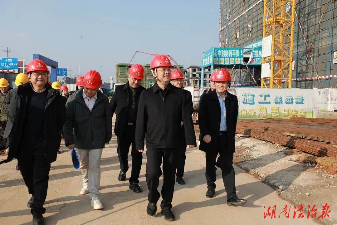 陈雄: 统筹发展与安全，以项目提速生态提质促高质量发展