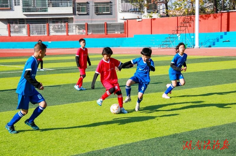 “乡村希望足球”点燃绿茵梦想 新田县小学生足球联赛火热开赛