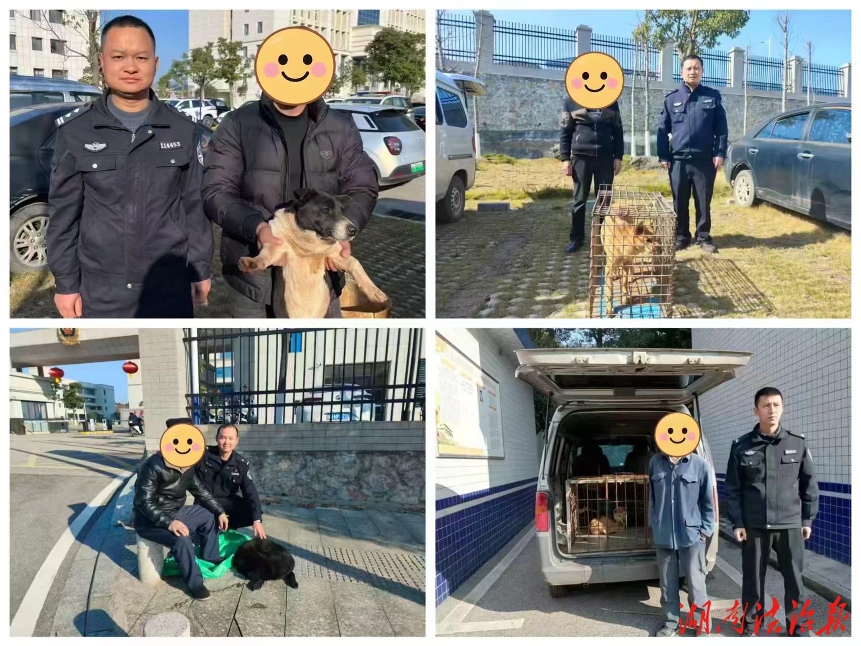 【冬季严打】解救“汪星人”！蓝山公安智擒“偷狗贼”