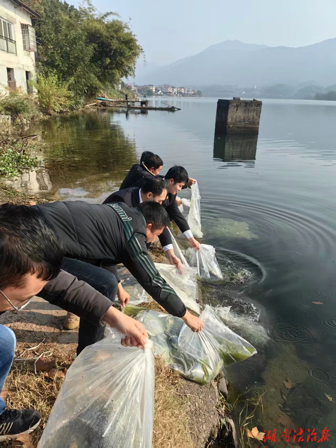 增殖放流護生態(tài) 生態(tài)修復(fù)顯擔(dān)當(dāng)