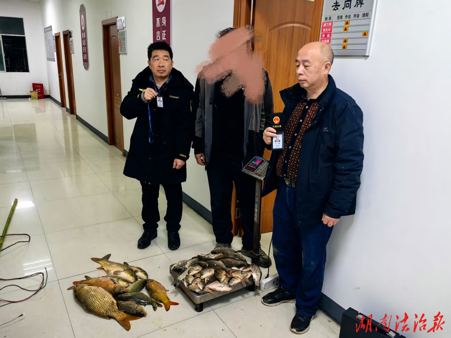 零陵：一當(dāng)事人以身試法不改，再次電魚落網(wǎng)