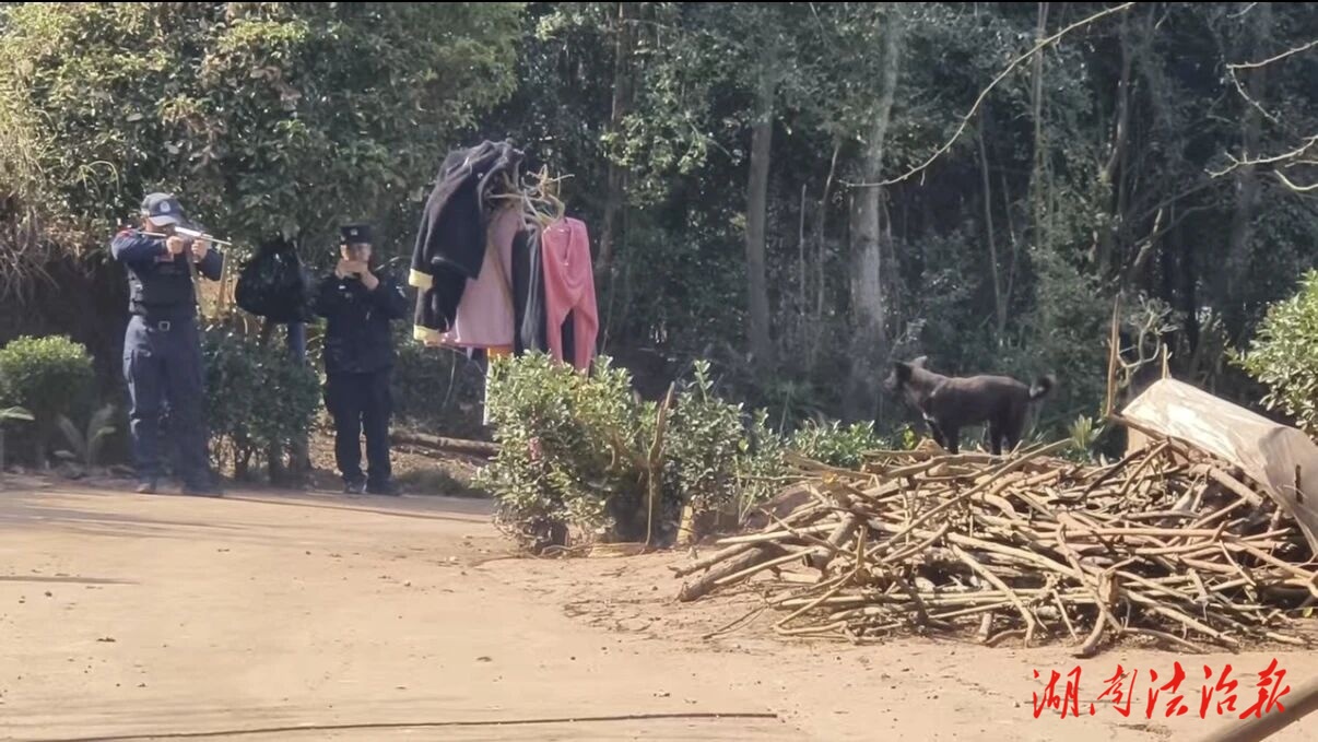 瘋狗村中發(fā)狂傷人，桑植警方果斷擊斃
