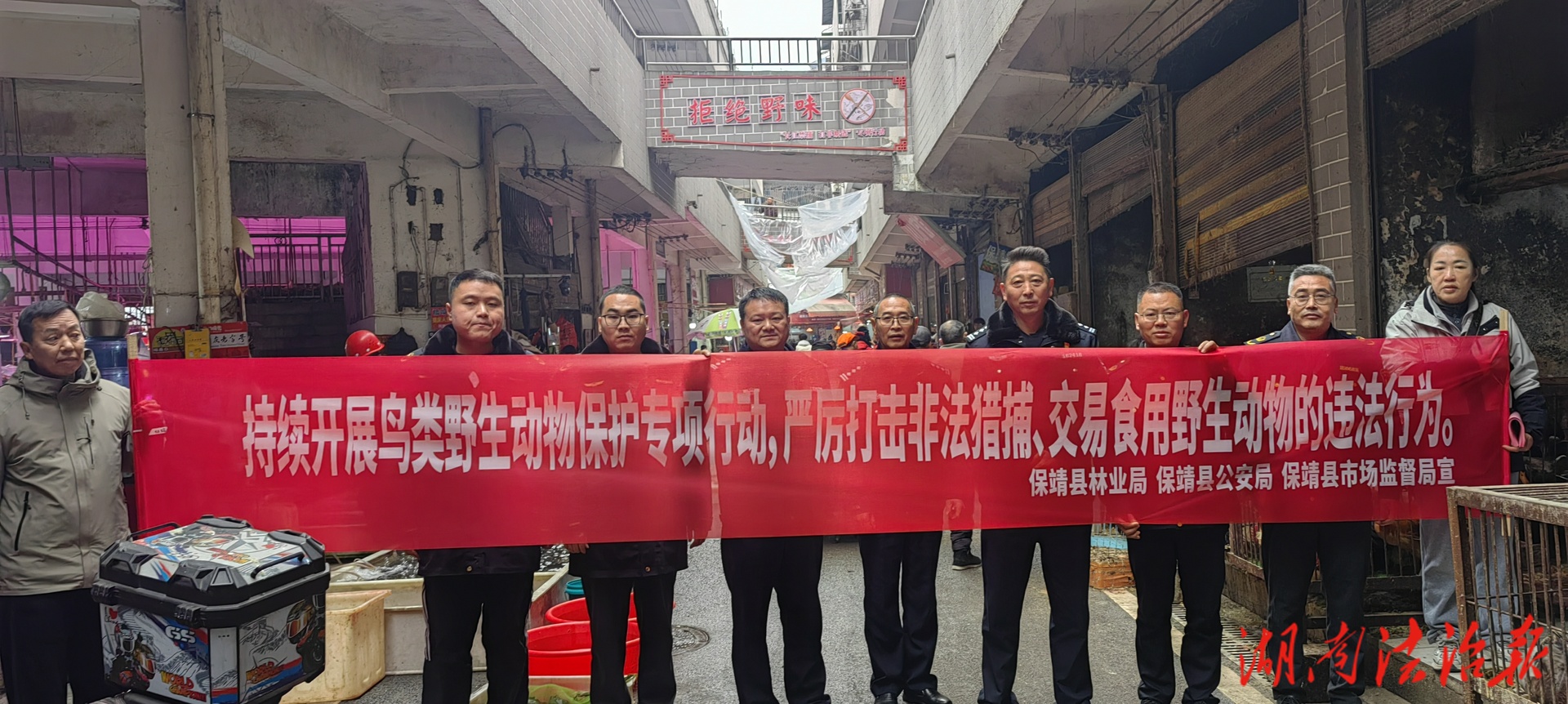 保靖森林公安聯(lián)合多部門開展鳥類保護(hù)專項(xiàng)執(zhí)法行動(dòng)