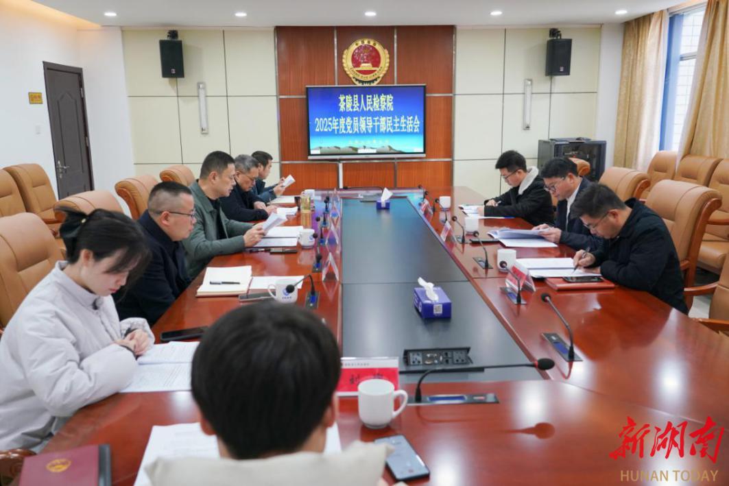 茶陵县检察院召开2025年度民主生活会