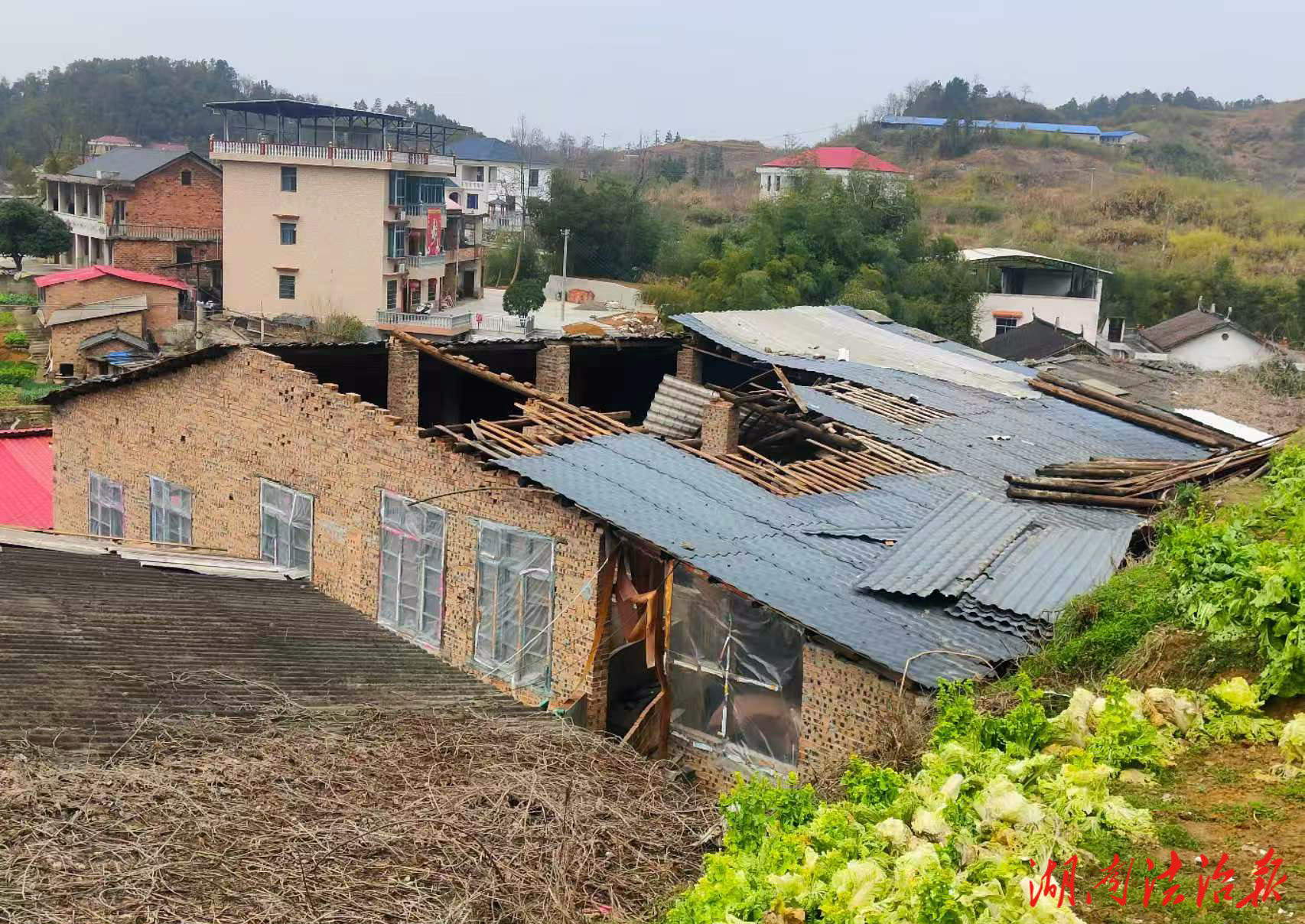 新化縣畜牧水產(chǎn)事務(wù)中心攜手保險(xiǎn)公司迅速行動(dòng) 護(hù)航養(yǎng)殖業(yè)發(fā)展