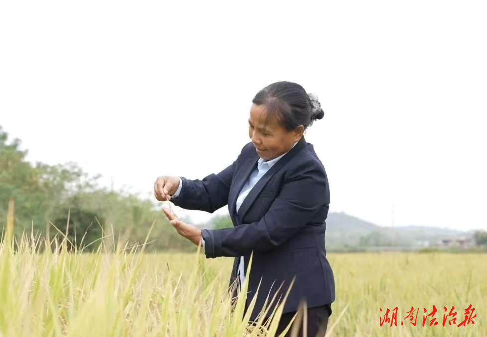 譚冬秀：一位“遠(yuǎn)嫁外來媳”花三十年時間成為寧鄉(xiāng)農(nóng)民的“省人大代表”