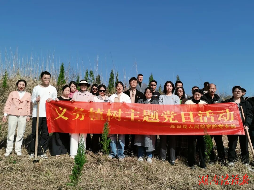 植新绿 护青山——新田县人民检察院党支部开展义务植树主题党日活动