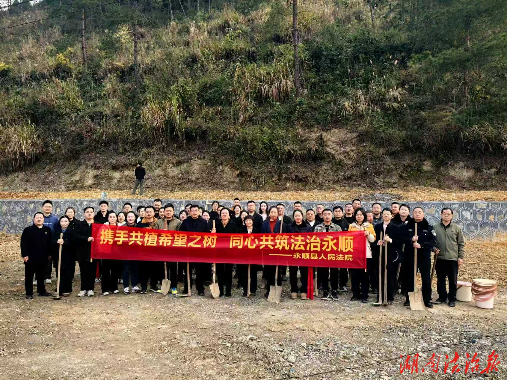 携手共植希望之树 同心共筑法治永顺—— 永顺法院开展志愿植树活动