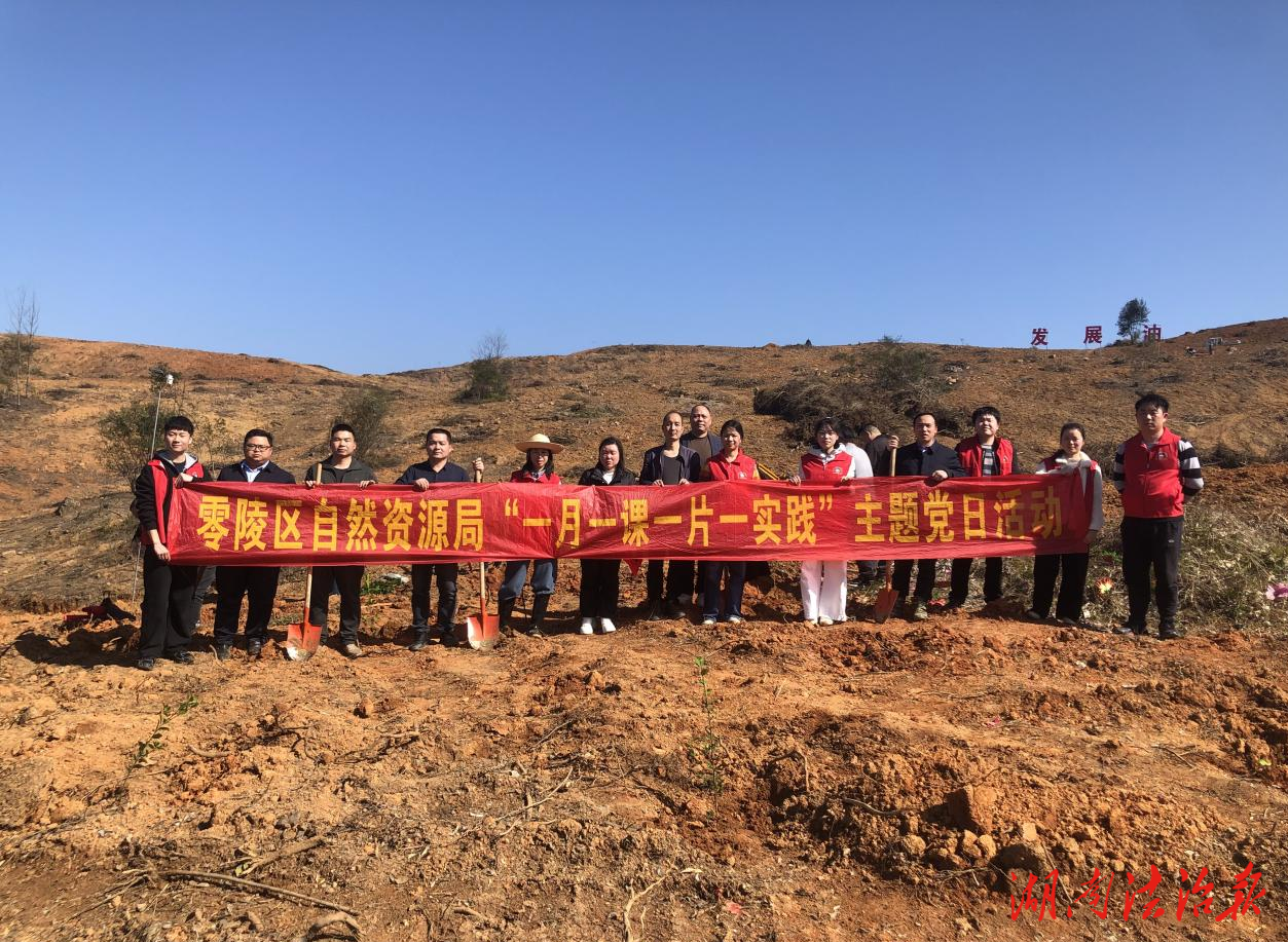 党建引领添新绿 义务植树践初心 ——零陵区自然资源局机关党支部开展植树主题 党日活动