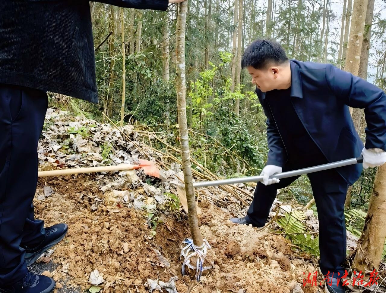 植綠護(hù)綠踐初心 法典護(hù)航啟新程——桑植法院參加2026年度黨政機(jī)關(guān)義務(wù)植樹活動(dòng)