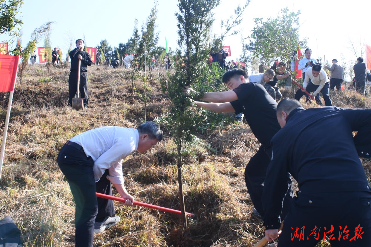 警徽闪耀添新绿 忠诚守护筑平安——江华公安开展春季义务植树活动