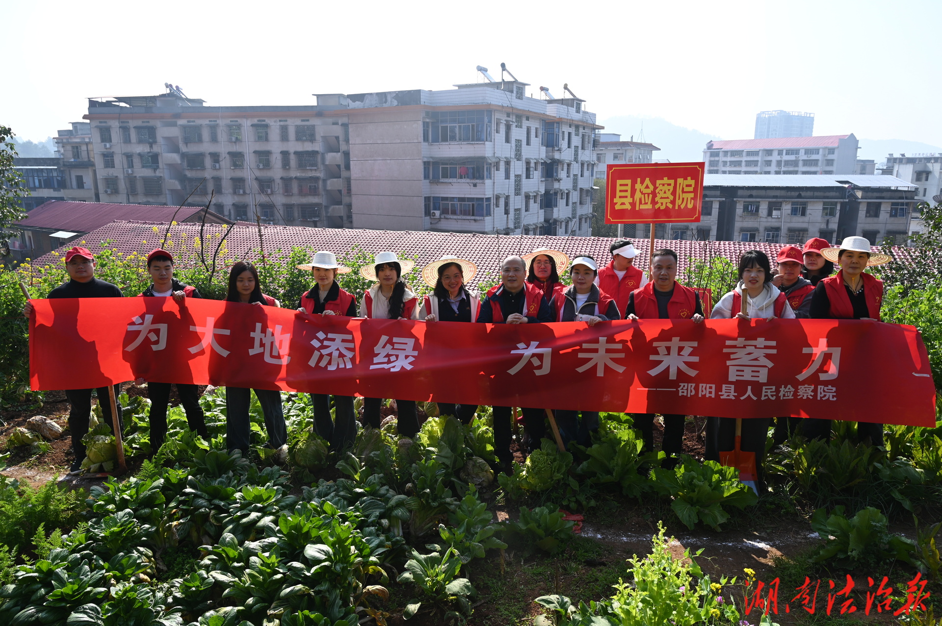 植此青綠 檢護(hù)桃香