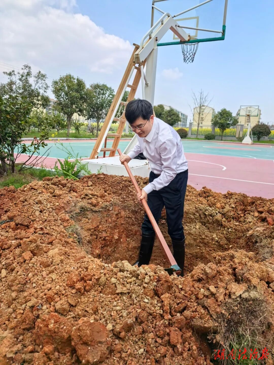 植樹護綠守初心  法治種子種心田