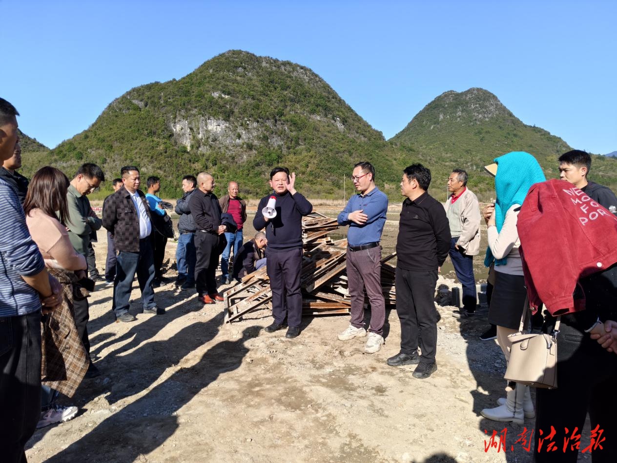 中和镇：同心共绘乡村振兴“致富田”