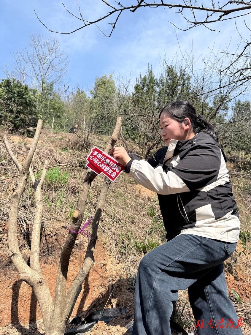 植綠護(hù)苗守凈土·防毒拒毒筑長(zhǎng)城  株洲市荷塘區(qū)開展植樹節(jié)禁毒主題實(shí)踐活動(dòng)