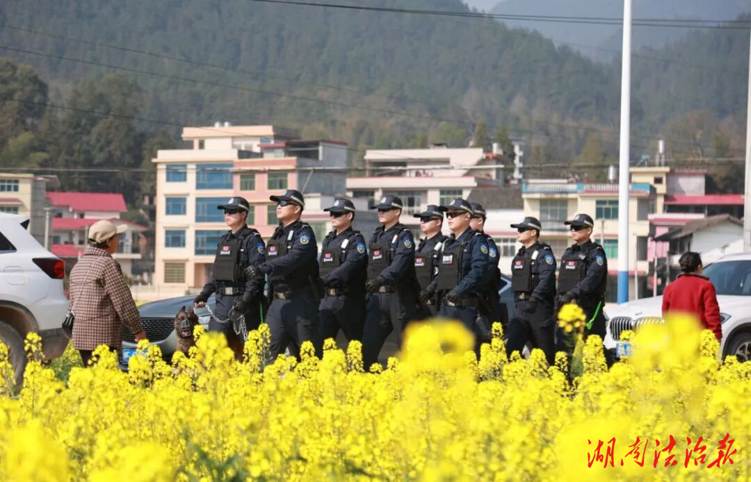 油菜花綴景，反詐護(hù)民心——隆回警方借油菜花節(jié)送“反詐禮包”