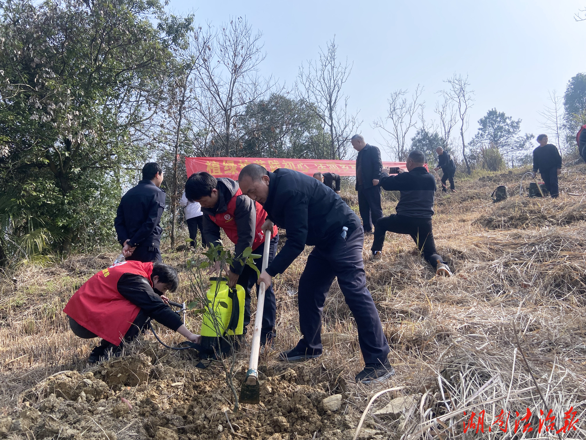 武岡法院：植綠護藍踐初心 法潤?quán)l(xiāng)村促振興