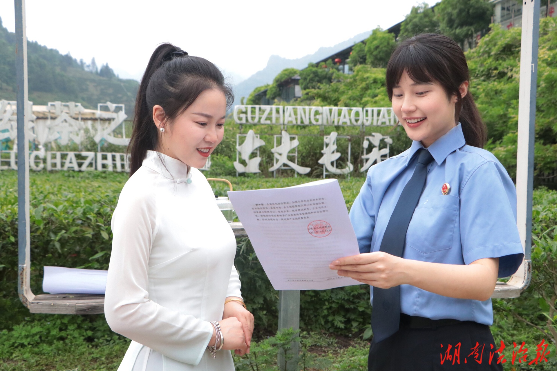 茶山深處檢察青