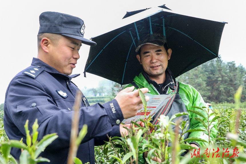 保靖公安：深耕反詐與交通宣傳，筑牢茶農(nóng)安全防線