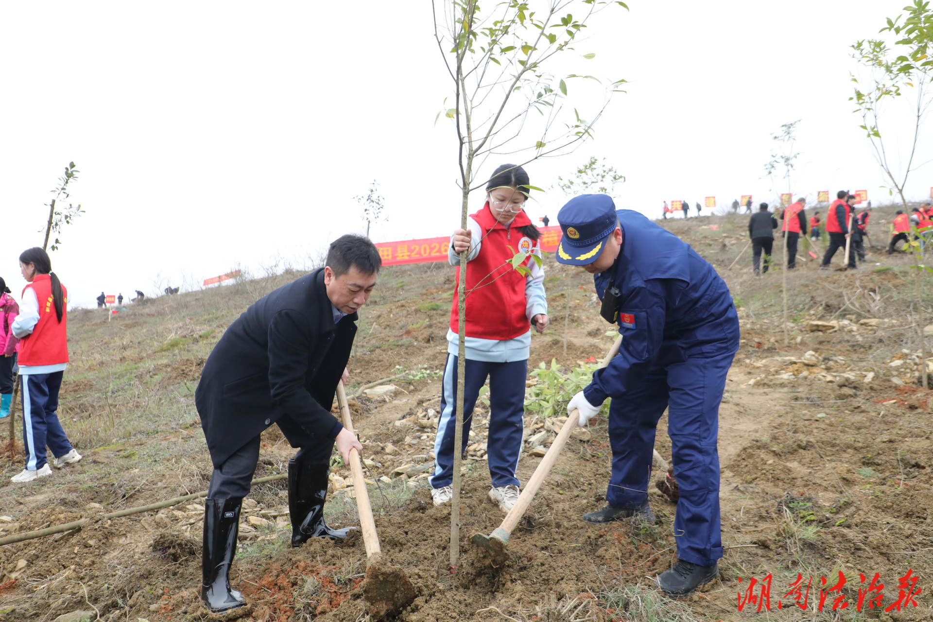 新田縣開展義務(wù)植樹活動(dòng) 共建生態(tài)家園