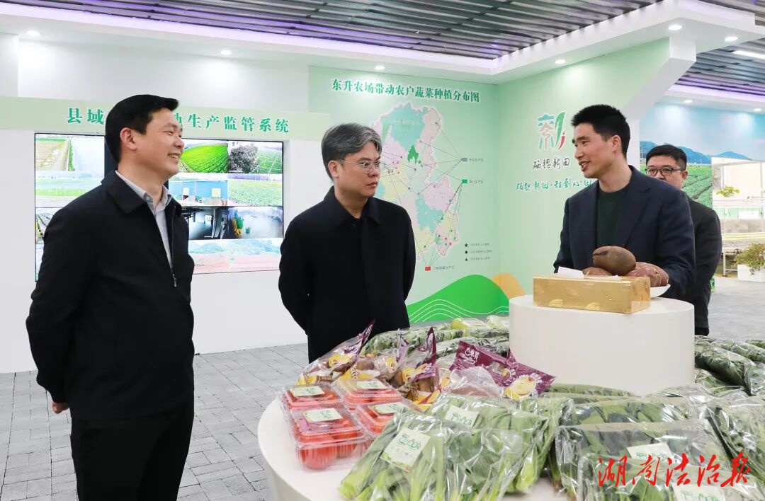 陈雄深入乡镇调研春耕生产、农业产业发展、城乡发展大提升等工作