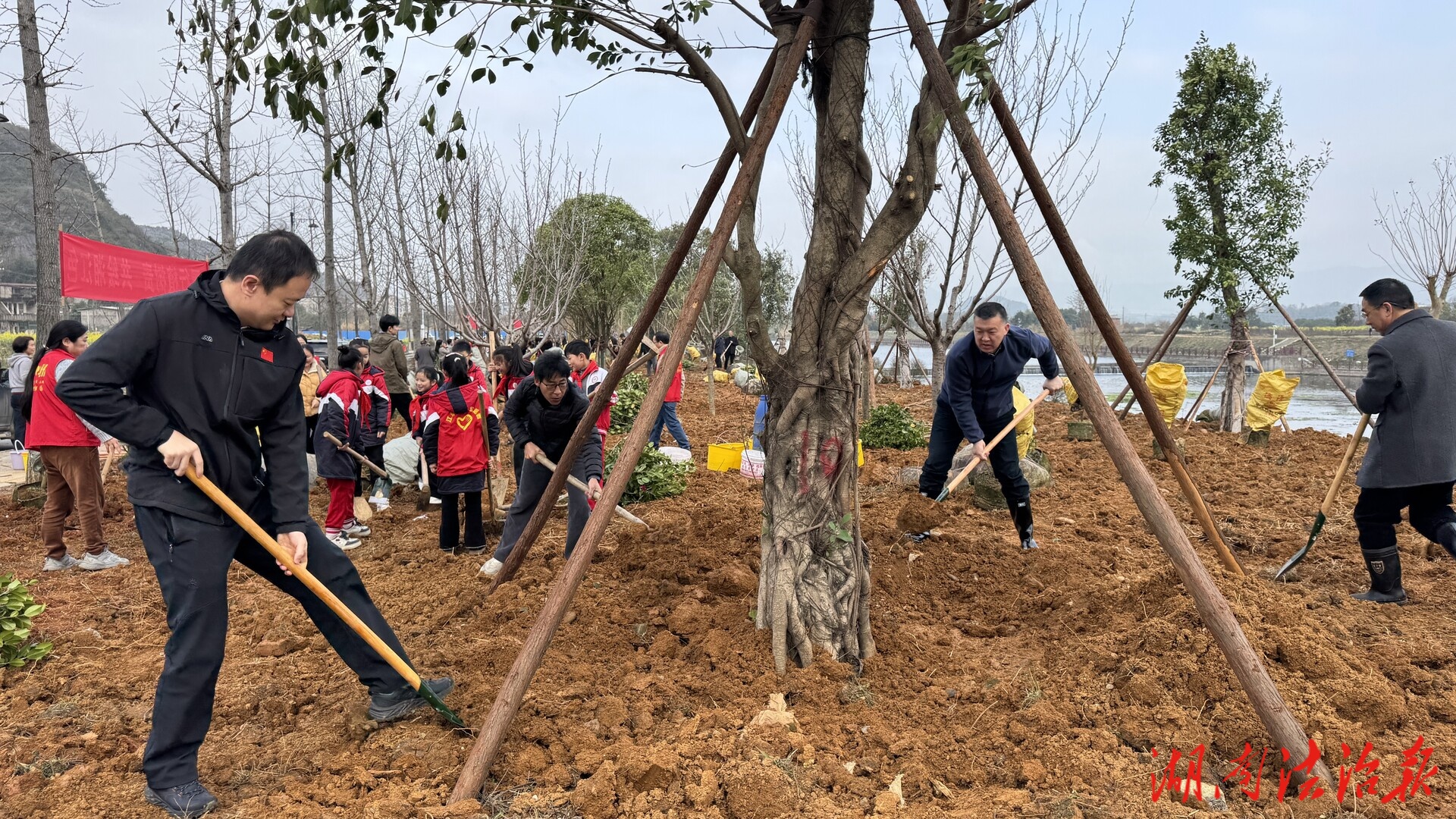 江永：履行義務(wù)植樹 共建美麗江永