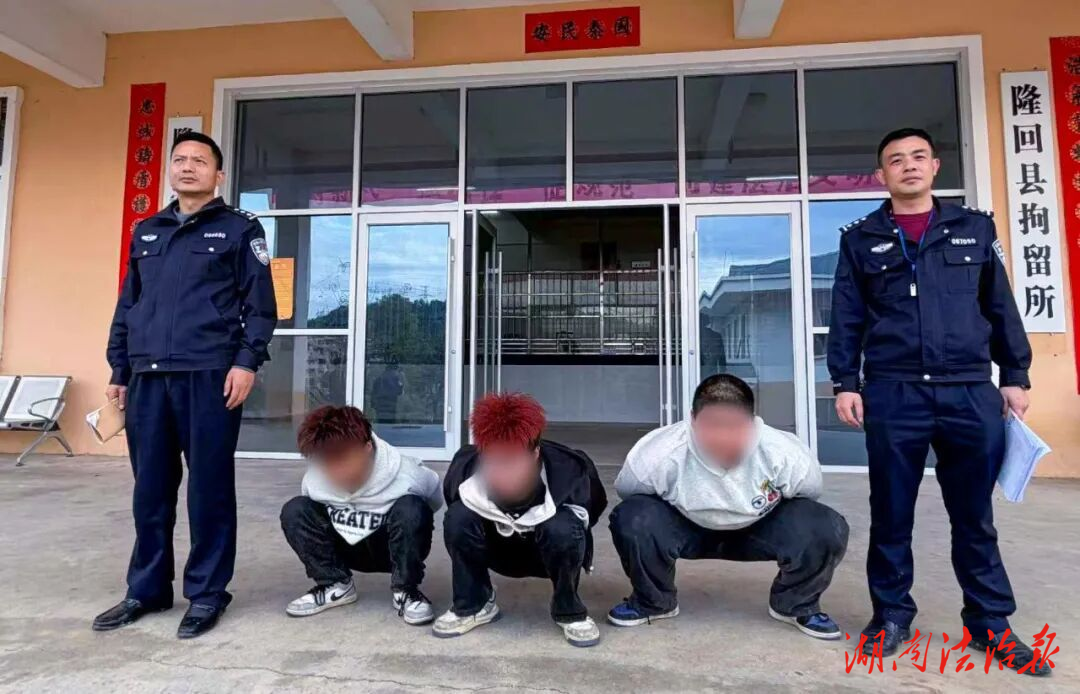 深夜拉车门“碰运气”？隆回警方速破系列盗窃案，3人落网！