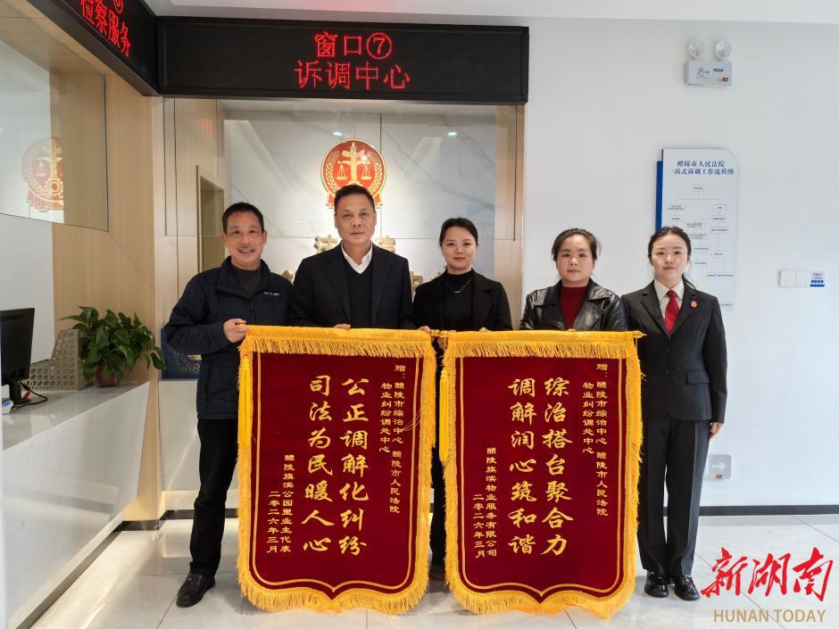 司法赋能综治协同，醴陵创新 “示范诉讼 + 批量调解”联动模式显实效