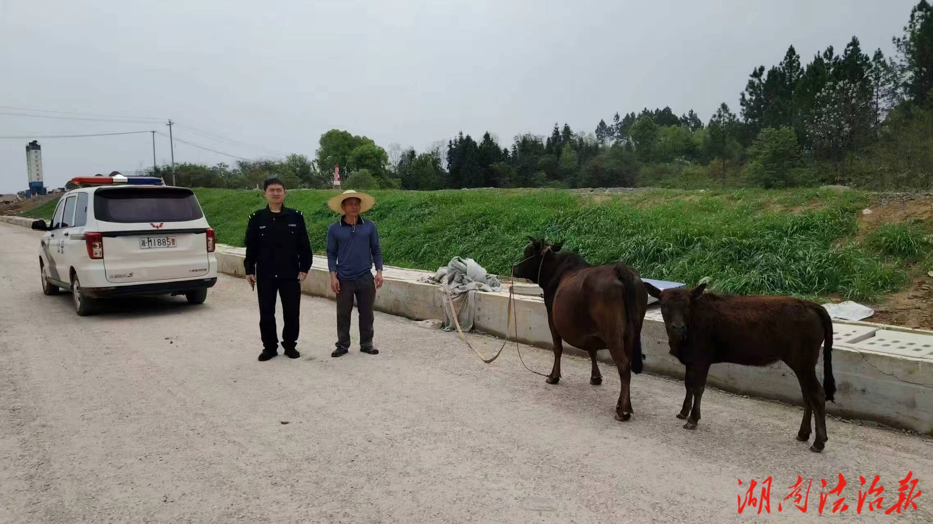 心系群眾解民憂 民警快速尋回走失耕牛