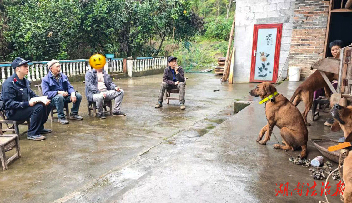 家禽遭犬啃咬受損 民警速解民憂暖民心