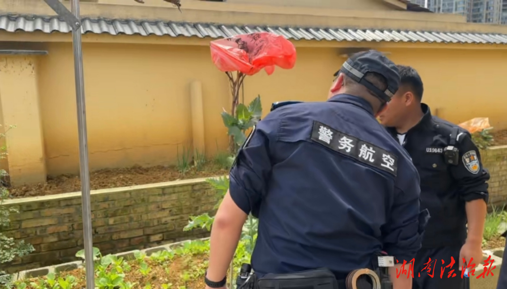吉首公安：天眼巡查無(wú)死角，罌粟種植無(wú)處藏