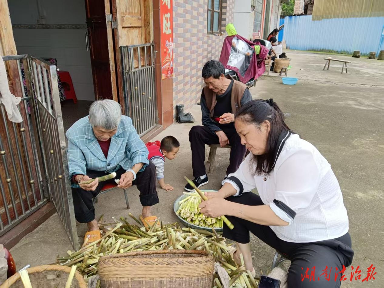 寧遠縣中和鎮(zhèn)：野菜“下山”變身“致富菜”