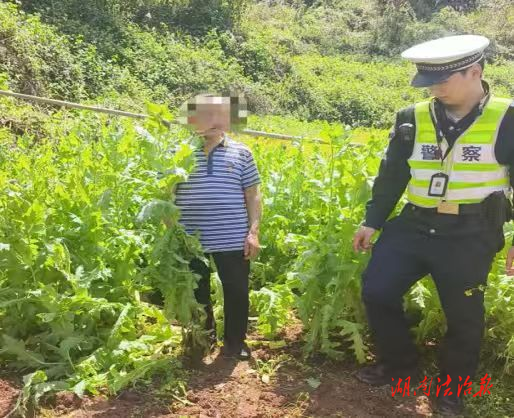 吉首公安查處一起非法種植罌粟案