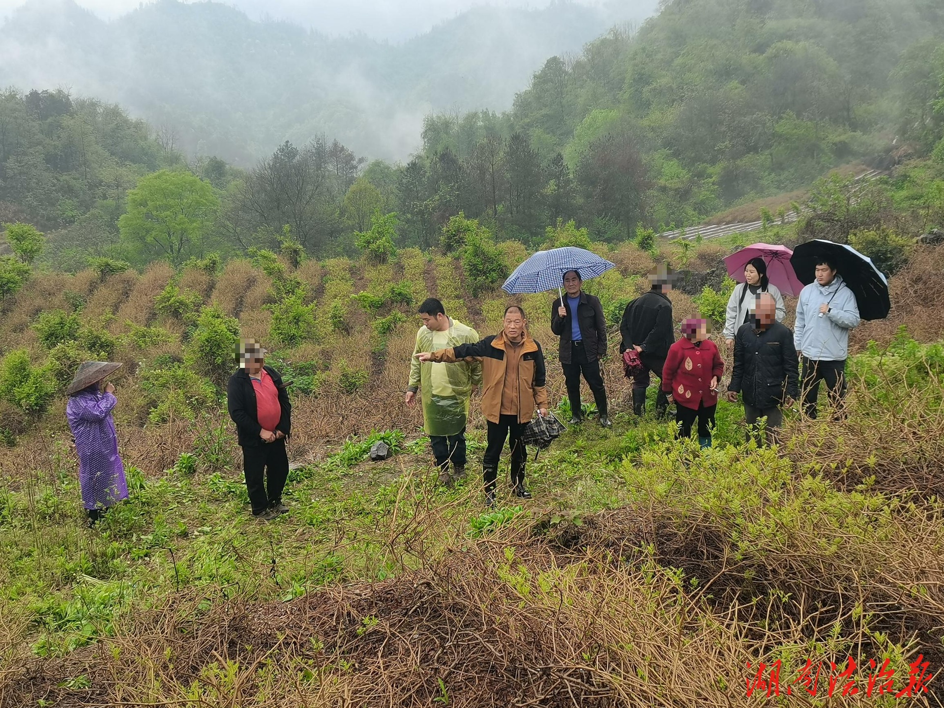 永順法院：巧化山林界址糾紛 守護鄉(xiāng)村鄰里和睦