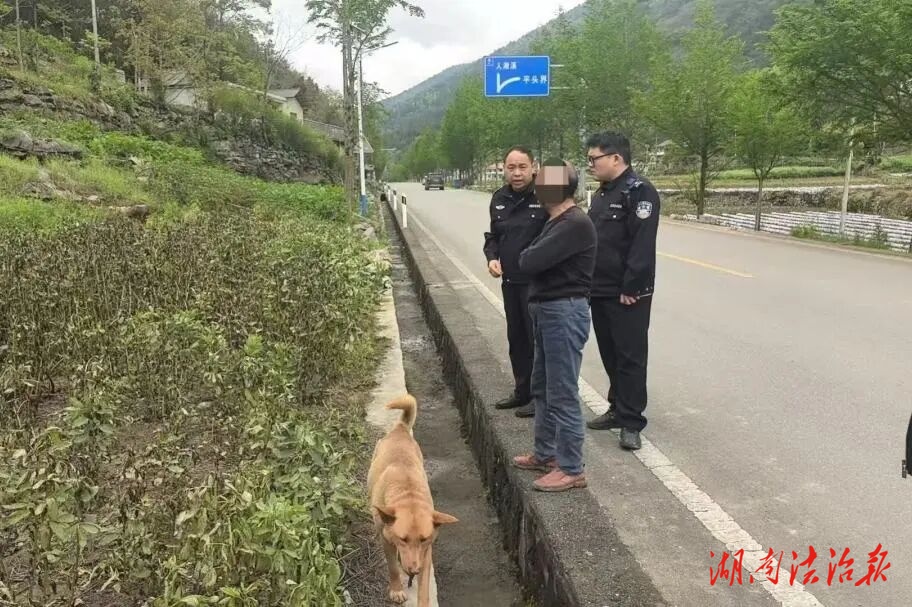 農(nóng)藥毀苗起糾紛，鄉(xiāng)鄰握手消隔閡