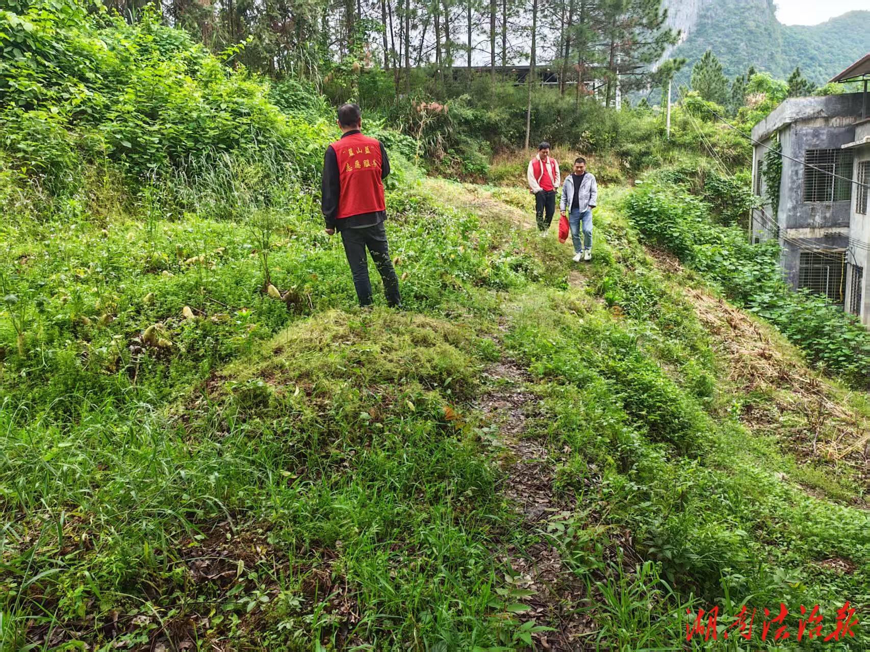 蓝山县祠堂圩镇：谷雨踏查守净土 禁种铲毒护平安