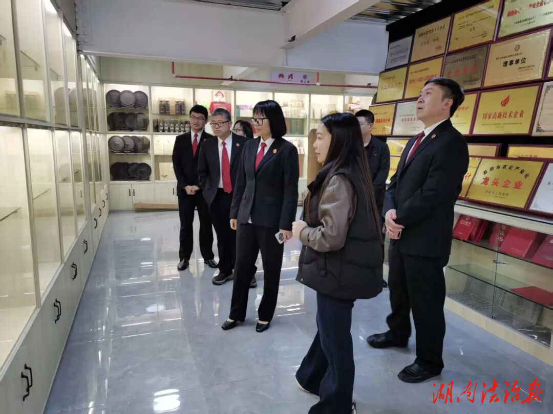法护知产助企兴 服务发展启新程——安化法院开展“知识产权强企”主题普法宣传活动